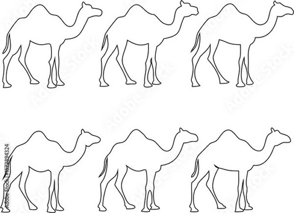 Fototapeta Elegant camel outline icon vector set in different styles, ideal for animal-based designs.