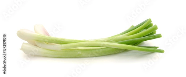 Obraz Green Onions 