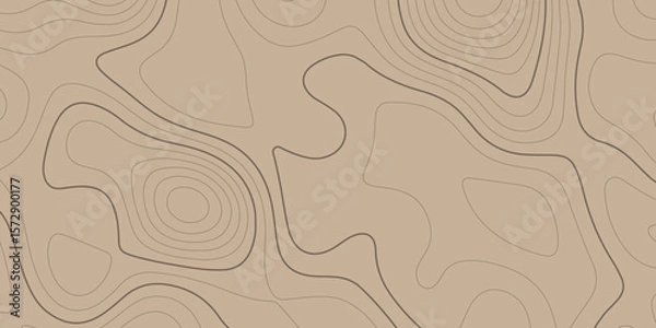 Fototapeta 3d white papercut topography relief. Cover layout template. abstract realistic papercut decoration with wavy layers. World Map Vintage Old-Style. Transparent PNG. Topographic map background geographic