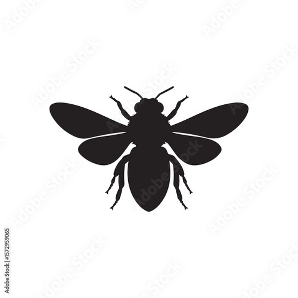 Fototapeta Honey bee silhouette on white background. Honey bee icon sign vector illustration design.
