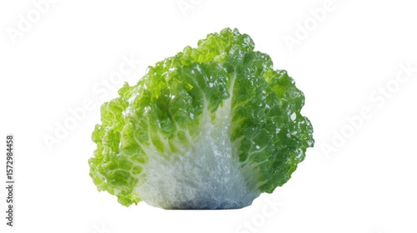 Obraz Iceberg lettuce head background isolated on a Transparent background, PNG file.