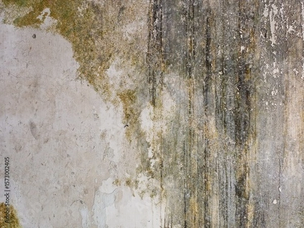 Fototapeta Vertical Grime Streaks on a Weathered Surface