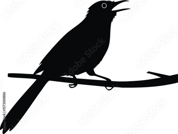 Fototapeta Elegant Birds Silhouette Vector EPS A Bulbul's Song at Dawn, Detailed Vector Illustration for Design Projects