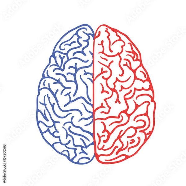 Obraz Gehirn