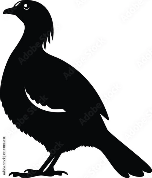 Fototapeta Elegant Birds Silhouette Vector EPS Sandgrouse in Puffed Feathers - Downloadable Design
