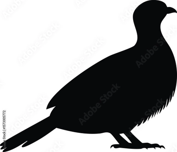 Fototapeta Elegant Birds Silhouette Vector EPS Sandgrouse Feather Puffed Design - Perfect for Print and Digital Projects