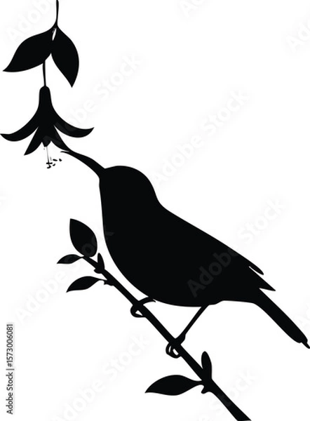 Fototapeta Elegant Bird Silhouette Vector EPS Sunbird on a Flower, Birds Silhouette Design for Print and Web