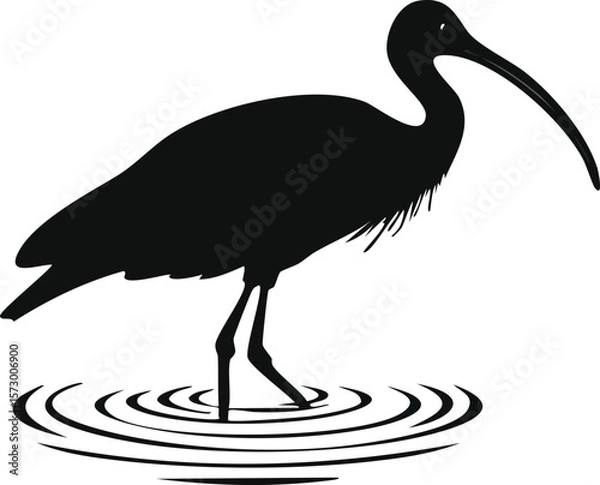 Fototapeta Elegant Ibis Bird Silhouette Vector EPS Illustration of a Wading Bird in Water