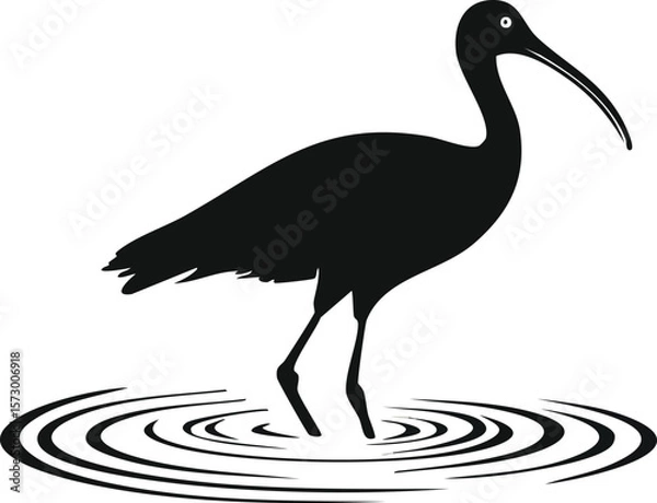 Fototapeta Elegant Ibis Bird Silhouette Vector EPS Illustration of a Wading Bird in Water