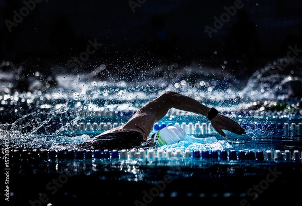 Obraz Freistilschwimmer im Gegenlicht