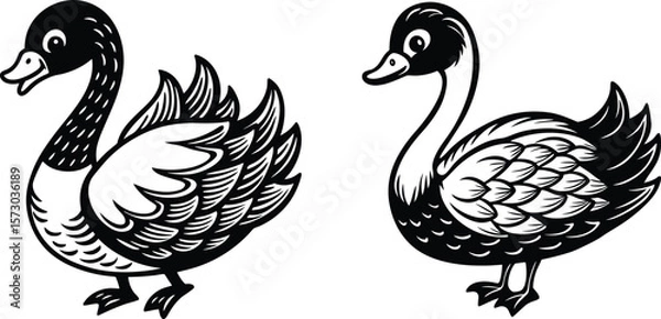 Fototapeta vector illustration of duck set. Elegant Black and White Swan Duck Illustrations Vector