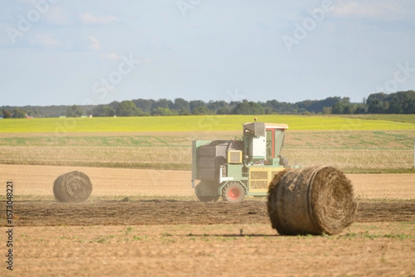Fototapeta A tractor cleans the field with flax and makes bales