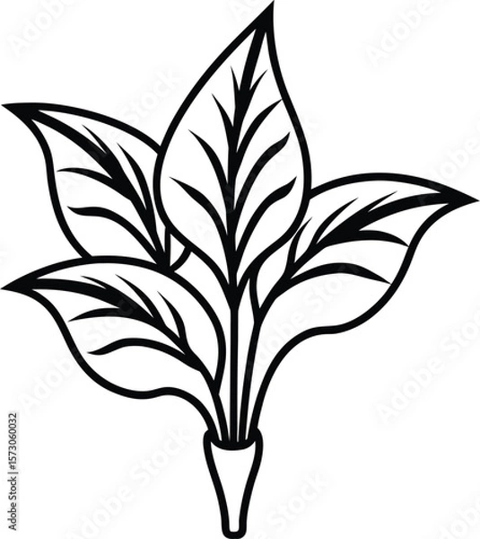 Fototapeta dieffenbachia icon vector line art on transparent background