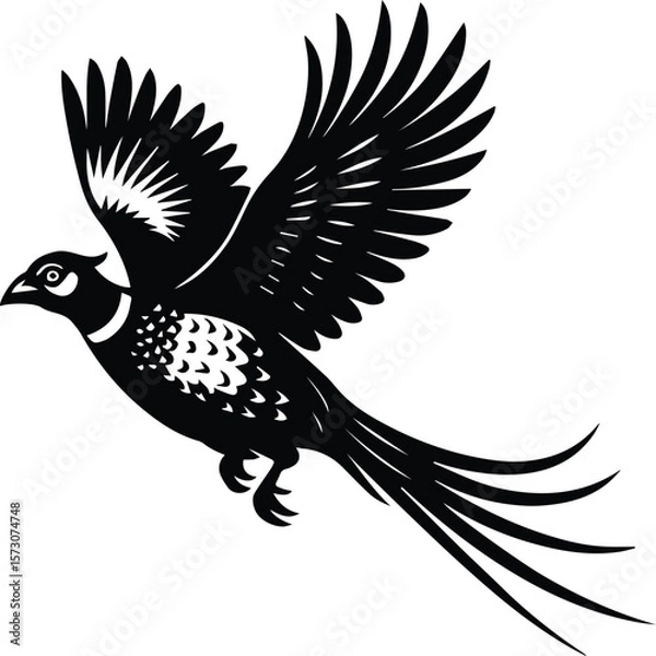 Fototapeta Flying Pheasant Bird Vector – Game Bird Silhouette Illustration for Hunting, Cricut, and Wildlife Art