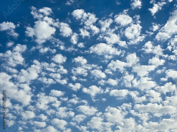 Obraz Blue sky filled with fluffy white clouds