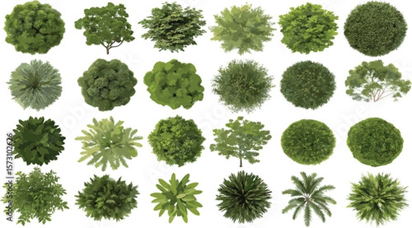 Fototapeta Top view green trees set, realistic tree foliage collection, landscape planning clipart, botanical garden elements, aerial plant design illustrations