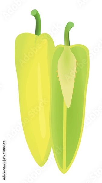 Fototapeta Green pepper on white background, vector	
