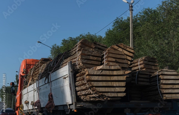 Fototapeta tree trunks sawn lengthwise in the back of a truck
