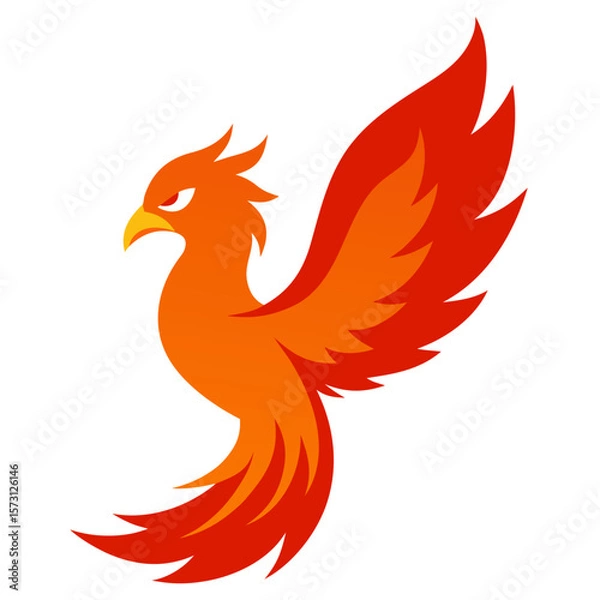 Obraz phoenox isolated on white background