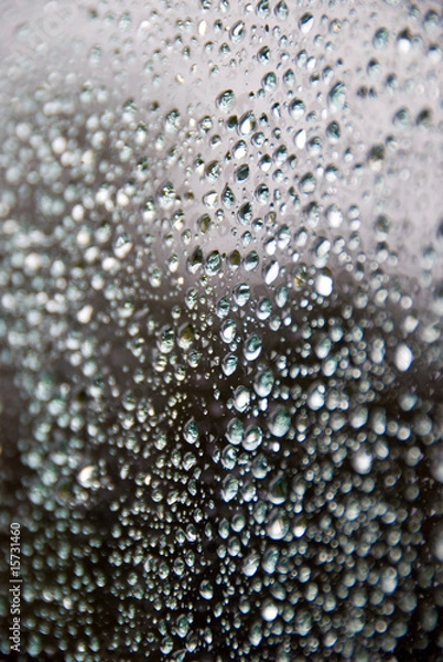 Obraz Rain drops on a window.