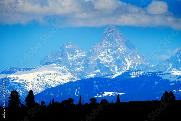 Obraz Teton Mountain Range with Grand Teton and Pine Tree Silhouettes and Cloudy Sky