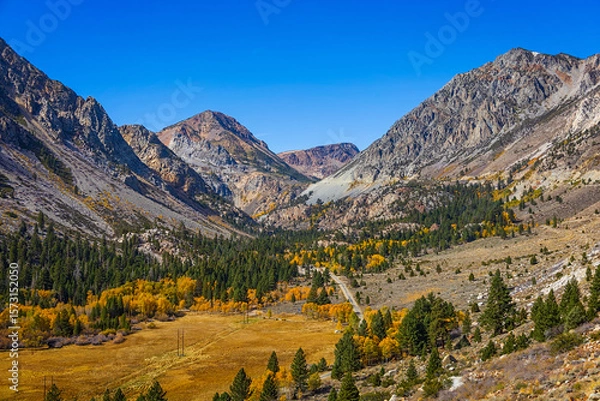 Obraz Scenic autumn landscape in Yosemite National Park with colorful trees and mountains
