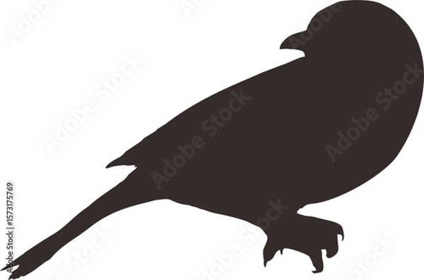 Fototapeta bird1.eps