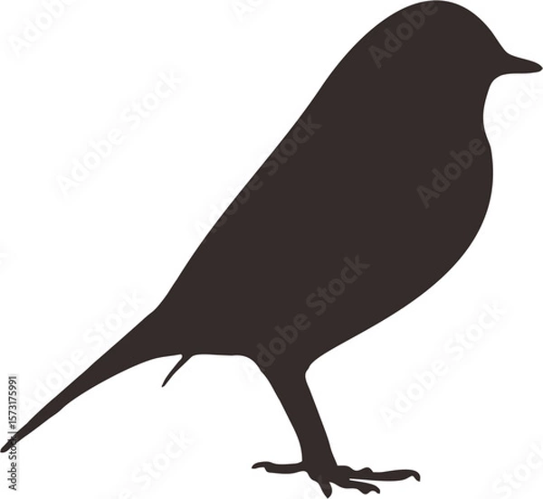 Fototapeta bird4.eps