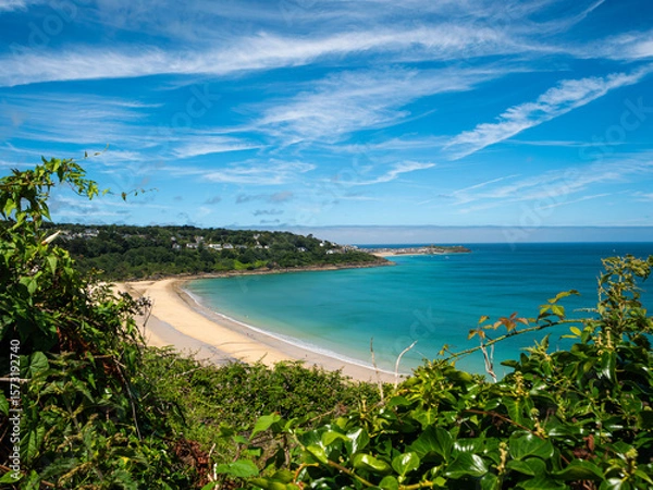 Fototapeta Bushes and shrubs frame a view overlooking Carbis Bay near St Ives on the north coast of Cornwall, UK, showing a sandy beach, deep blue sea with bright summer sky.