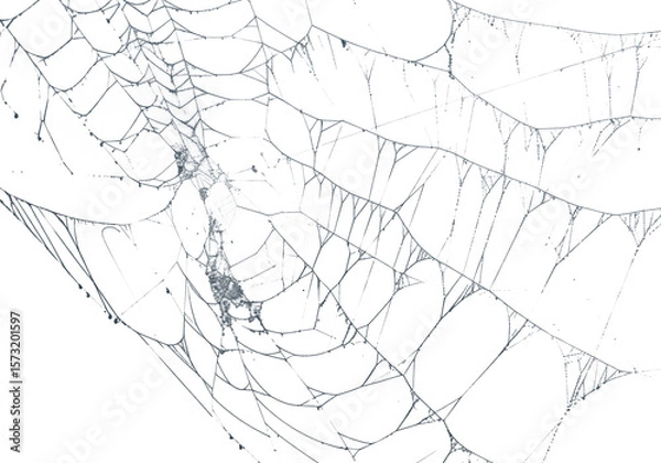 Fototapeta Intricate spiderweb glistens against a dark, contrasting backdrop, showcasing fragile beauty and the artistry of arachnids in nature, silhouette, transparent background