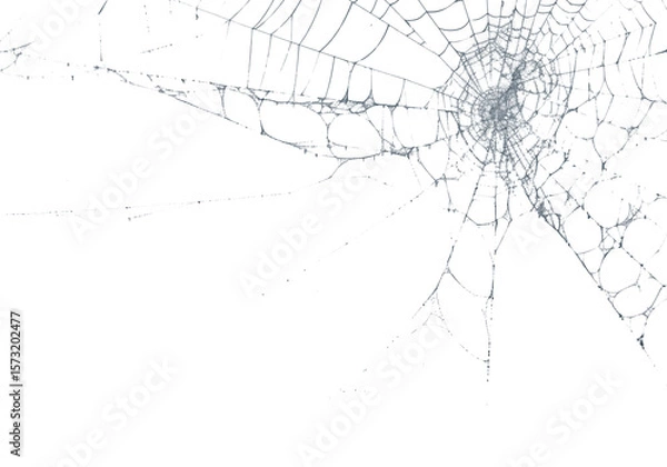 Fototapeta Delicate spiderweb glistens against a stark black backdrop, highlighting its intricate design and natural craftsmanship, transparent background