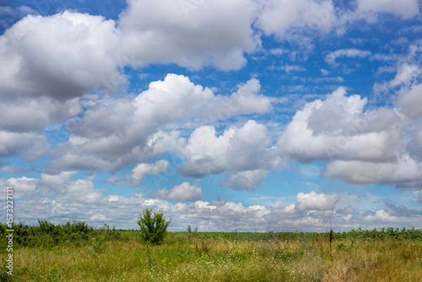 Fototapeta Serene rural landscape with meadow of wild flowers and grasses under sky with fluffy white clouds.