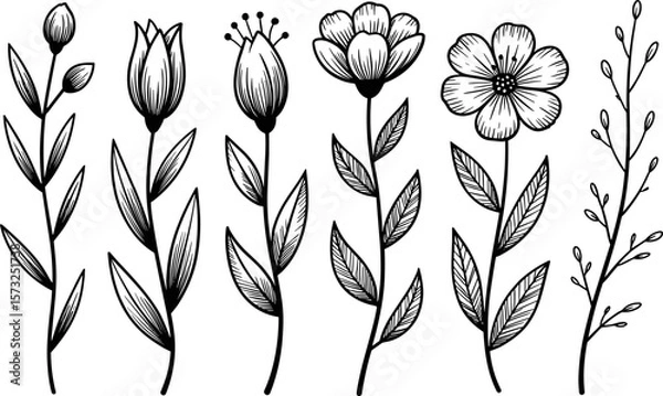Fototapeta Delicate Line Art Wildflower Vector Set – Hand Drawn Black and White Flowers
