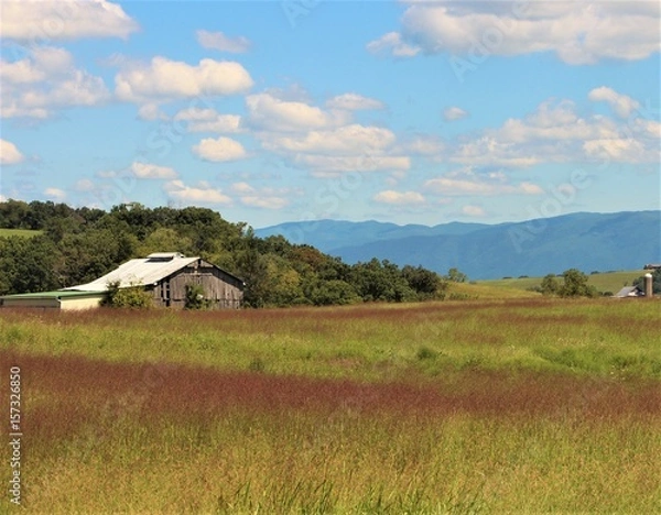 Obraz Barn field
