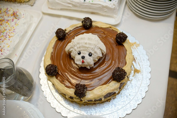 Fototapeta A round chocolate birthday cake decorated with chocolate in various shades and a fondant dog head in the middle