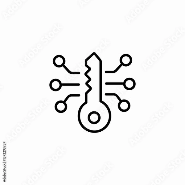Fototapeta digital key access icon sign vector