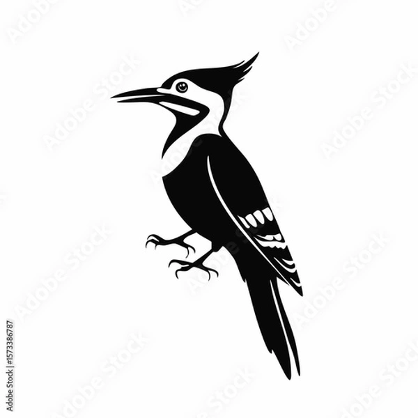 Fototapeta woodpecker bird black silhouette vector, Simple silhouette Design vector icon with white background. Wild Animal Vector. Bird Vector