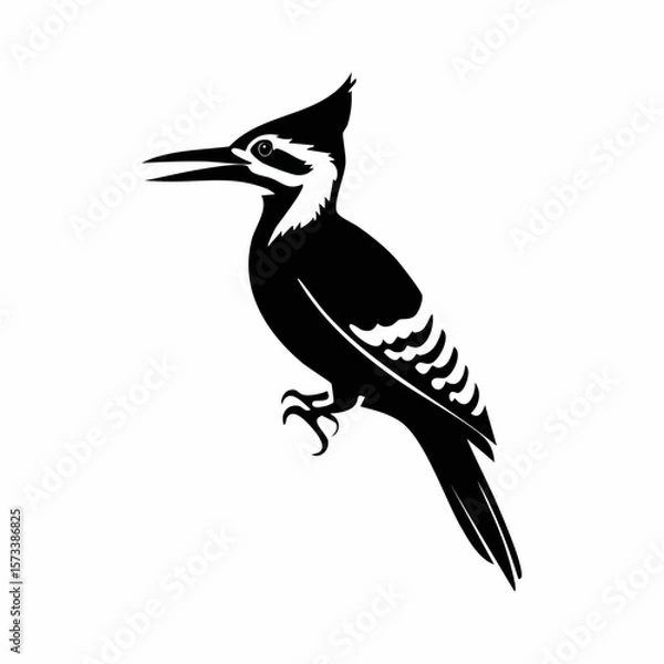 Fototapeta woodpecker bird black silhouette vector, Simple silhouette Design vector icon with white background. Wild Animal Vector. Bird Vector
