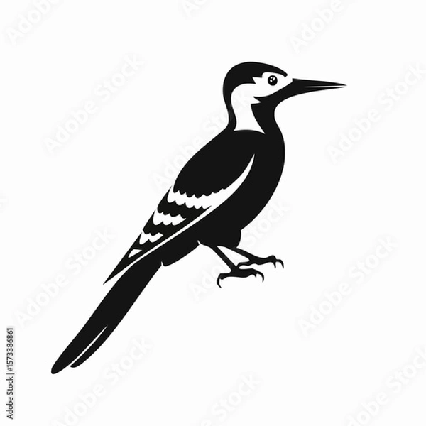Fototapeta woodpecker bird black silhouette vector, Simple silhouette Design vector icon with white background. Wild Animal Vector. Bird Vector