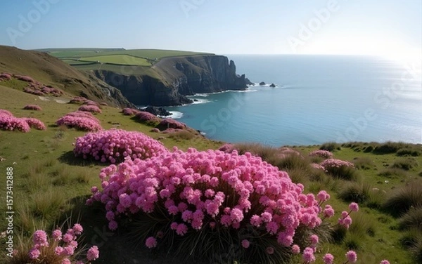 Obraz The coast of Ceibwr in Pembrokeshire, Wales with pink sea thrift. High quality