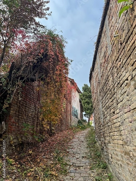 Obraz Empty Road Between Old Houses in Autumn