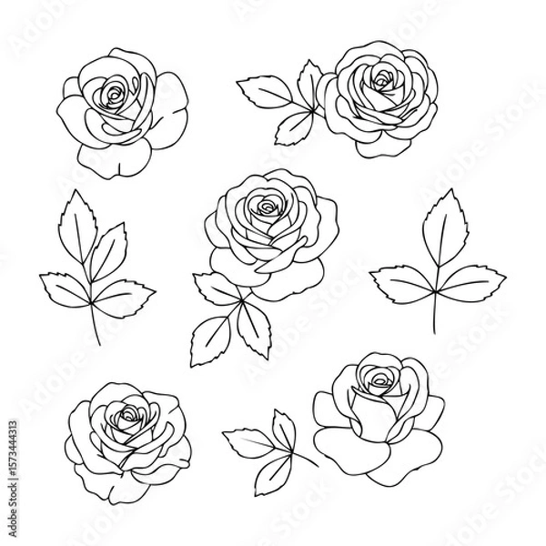 Fototapeta Line art of roses and leaves set for coloring and design projects. Vector hand-drawn doodle illustration