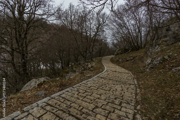Fototapeta Path of cobblestone to Oxya Viewpoint of Vikos Gorge in Zagoria region at Pindus Mountains on dark winter day with atmospheric mood, Epirus, Greece