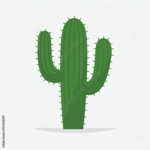 Obraz A tall green saguaro cactus with two arms against a white background