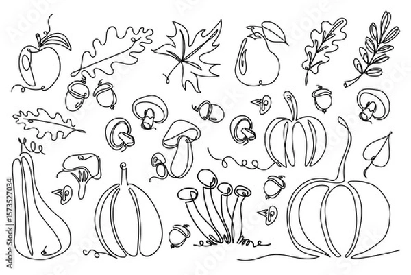 Fototapeta Line art collection of autumn elements including pumpkins, mushrooms, oak and maple leaves, acorns, apple, pear, and branch in black on white. For seasonal designs, packaging, greeting cards