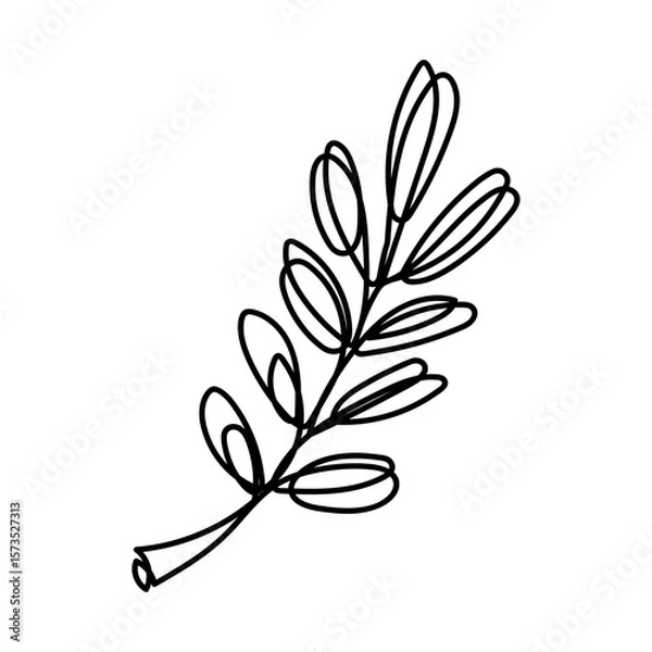 Fototapeta Line art illustration of a botanical branch with leaves in black on white background. For autumn designs, nature-themed prints, packaging, kitchen textiles, greeting cards, and scrapbooking.