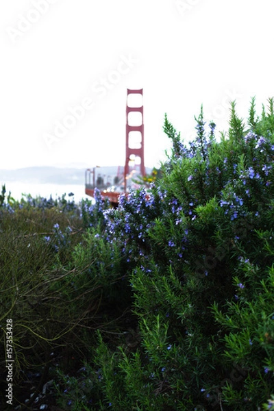 Obraz The Golden Gate Bridge in San Francisco at Dawn