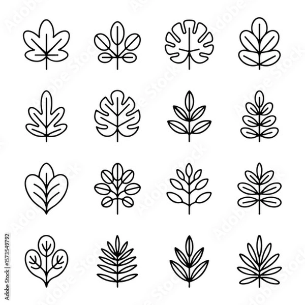 Obraz Unique and good quality Leaves line icon set