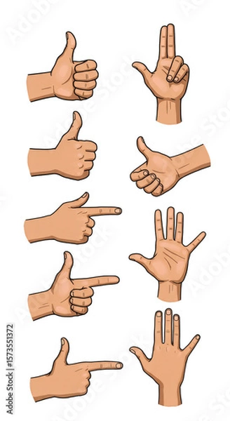 Fototapeta Isolated Illustration of Hand Gestures Vector for Communication and Signs