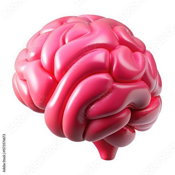 Obraz A glossy pink brain model isolated on a black background showcasing its anatomical structure clearly on transparent background